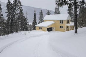 Alma Home about 20 Mi to Breckenridge Mtn Views!